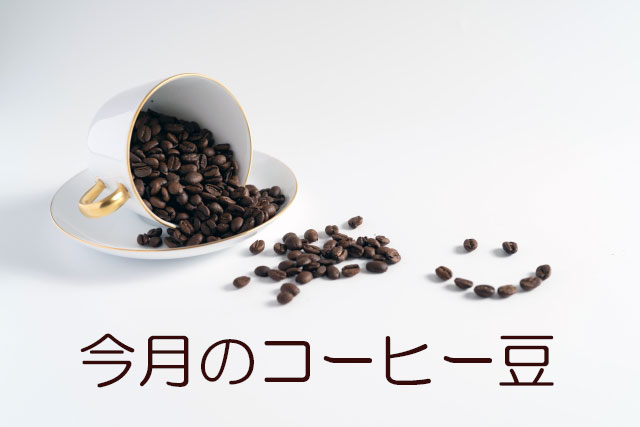 今月のコーヒー豆画像